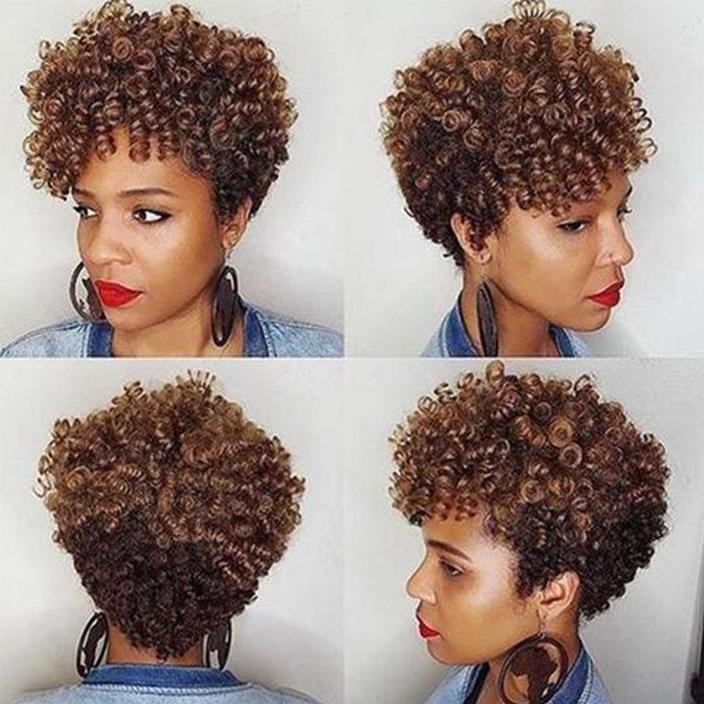 Sassy African American Short Spiral Curly Afro Wig for Women