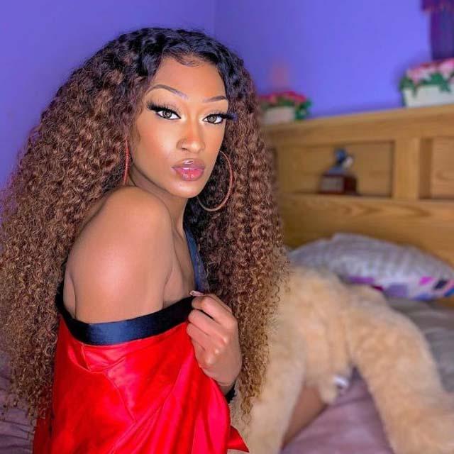 Brown Kinky Curly Wig